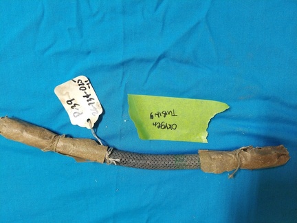 IMG 20210408 025406